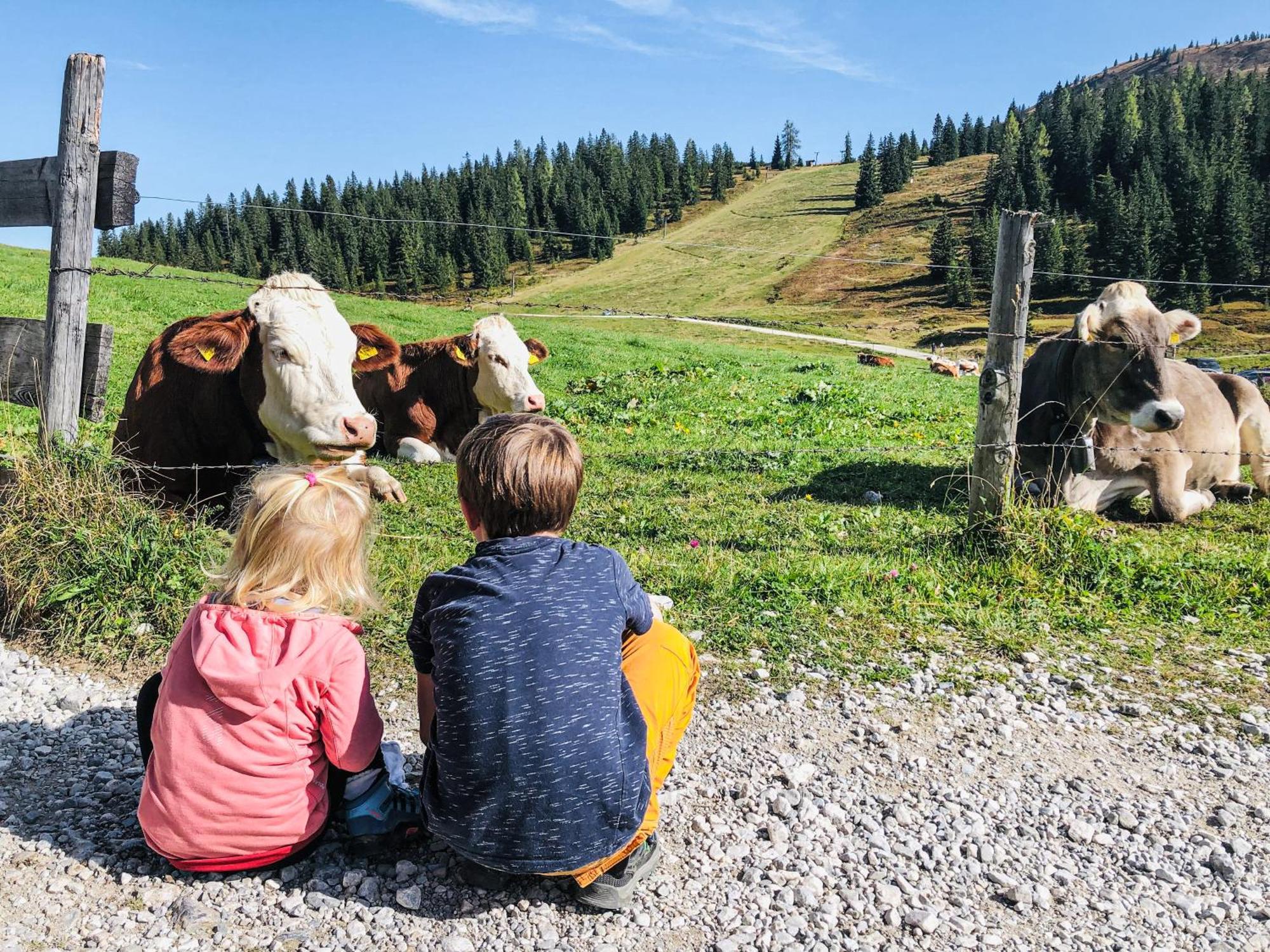 Hotel-Restaurant Bike&Snow Lederer Mühlbach am Hochkönig Εξωτερικό φωτογραφία