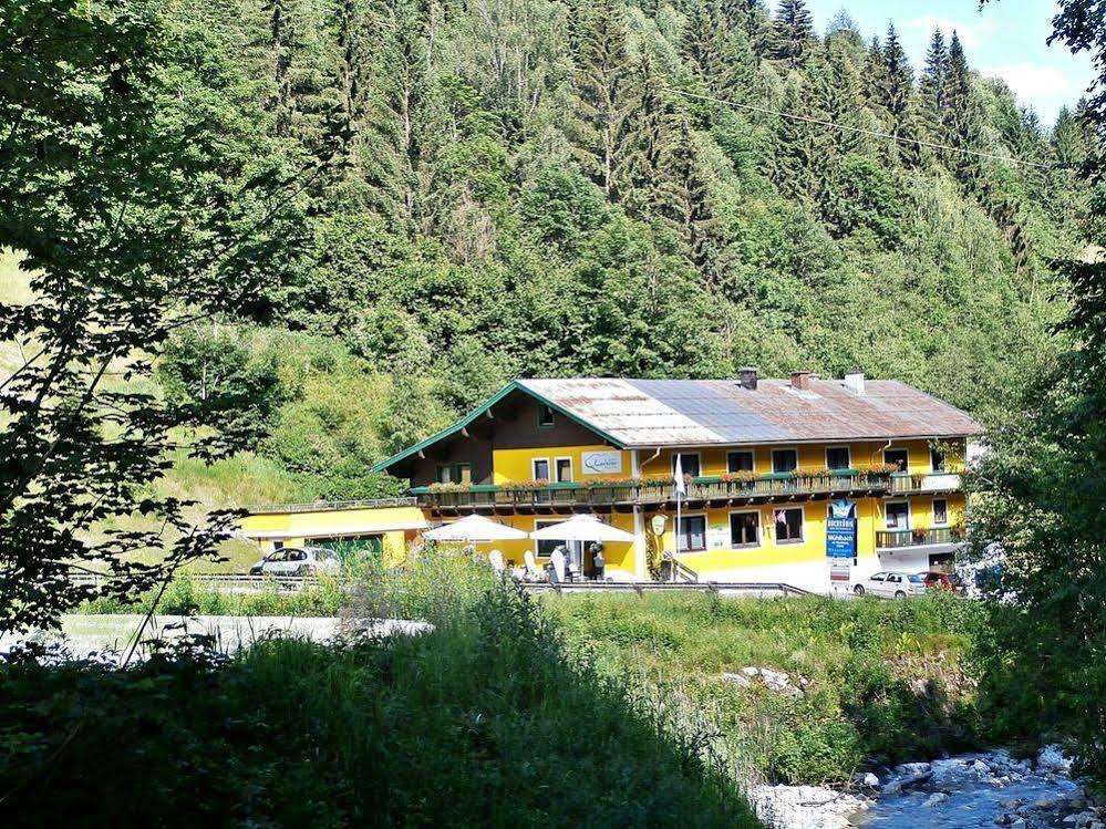 Hotel-Restaurant Bike&Snow Lederer Mühlbach am Hochkönig Εξωτερικό φωτογραφία